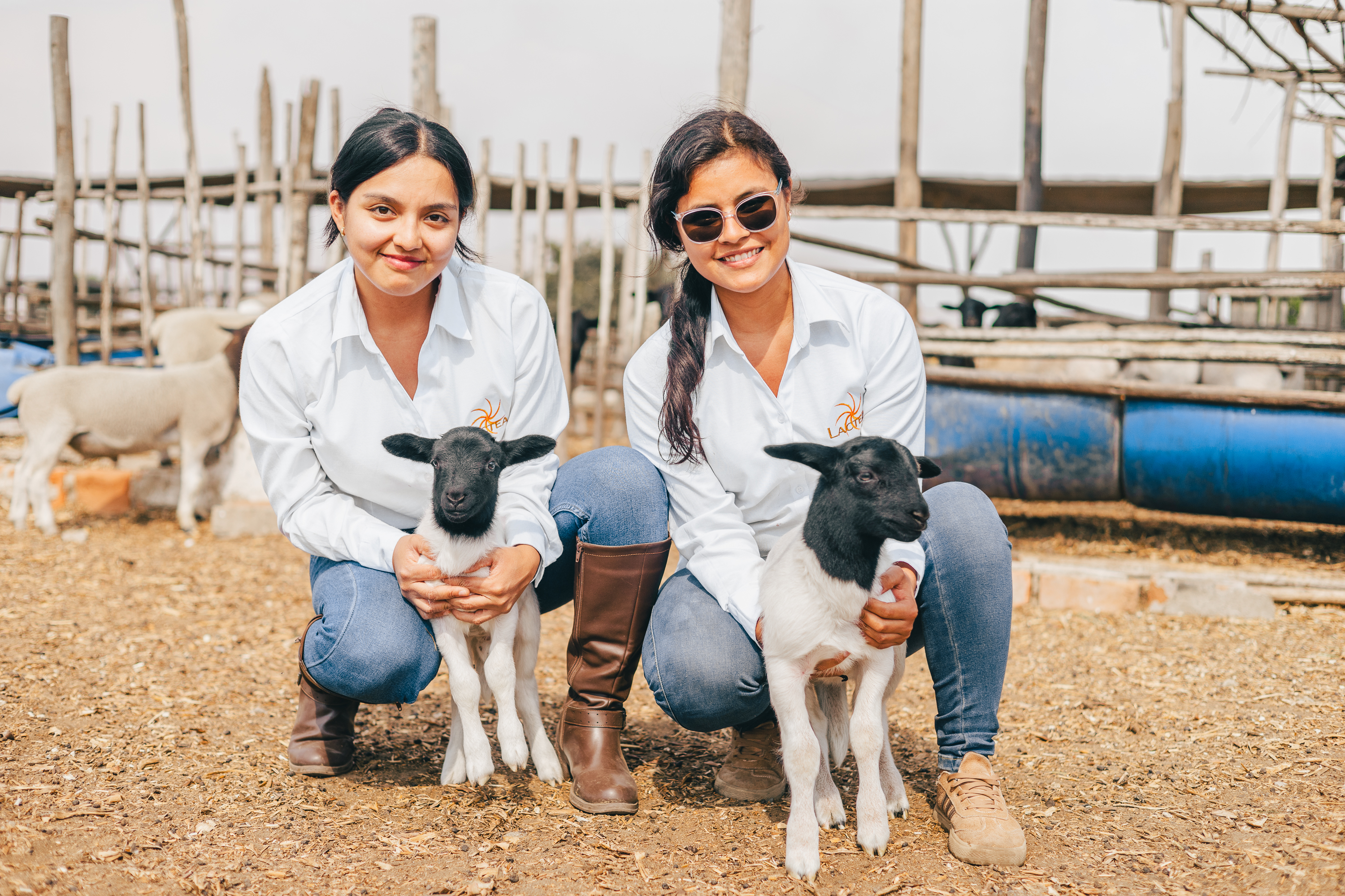 Ganadero alimentando ternero
