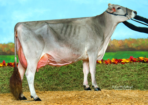 Pit-Crew Wonder Pizazz ET