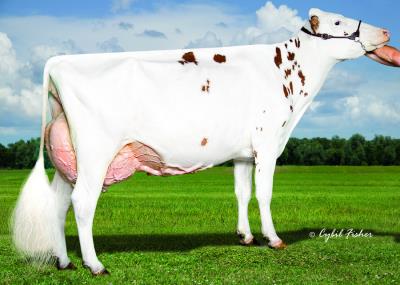 Ms Roll-N-Vew Althea-Red-ET